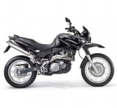 2010 Aprilia Pegaso 650 Trail photo
